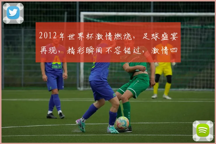 2012年世界杯激情燃烧，足球盛宴再现，精彩瞬间不容错过，激情四溢