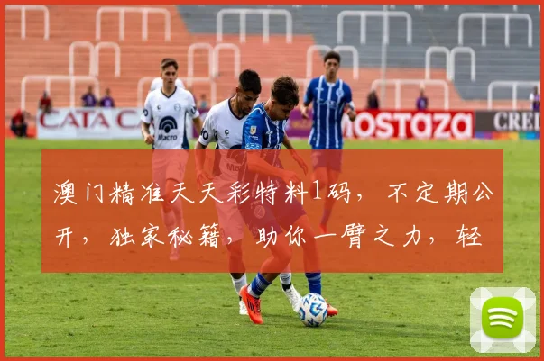 澳门精准天天彩特料1码，不定期公开，独家秘籍，助你一臂之力，轻松赢取大奖
