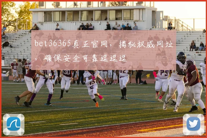 bet36365真正官网，揭秘权威网址，确保安全可靠逗逗逗